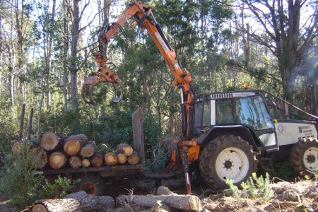 OPERADOR GRUA FORESTAL
